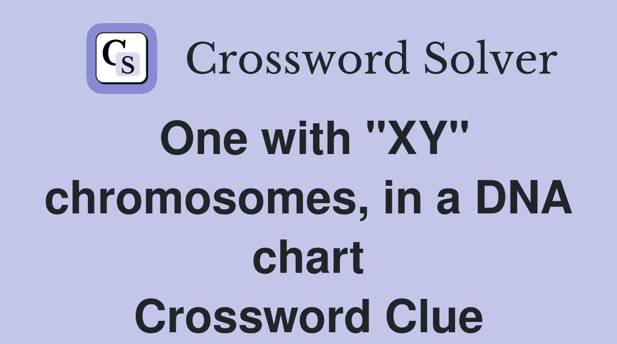 One with "XY" chromosomes, in a DNA chart Crossword Clue