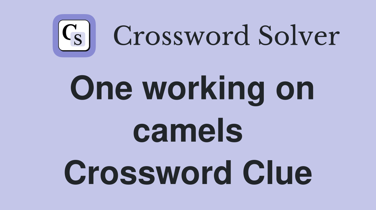 One working on camels Crossword Clue