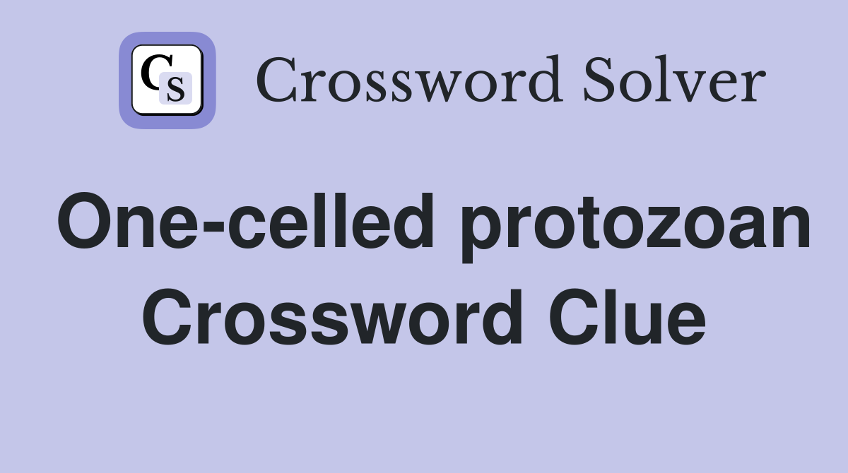 One-celled protozoan Crossword Clue