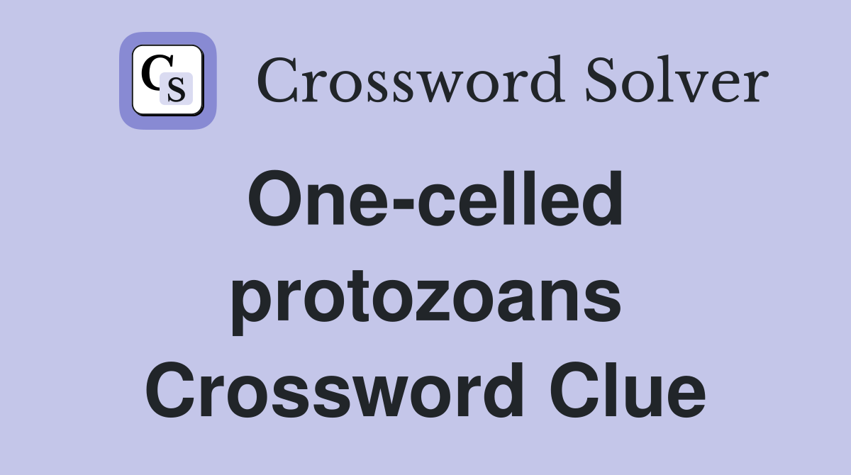 One-celled protozoans Crossword Clue