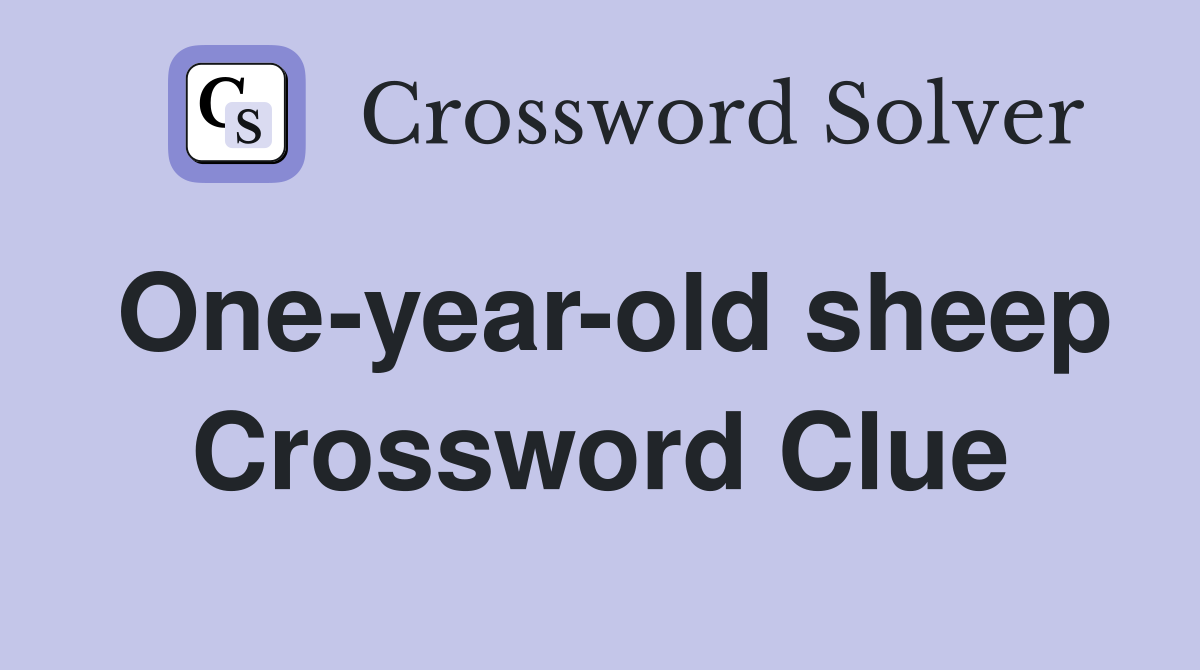 One-year-old sheep Crossword Clue
