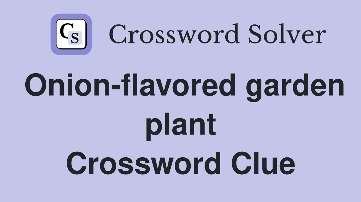 Onion-flavored garden plant Crossword Clue
