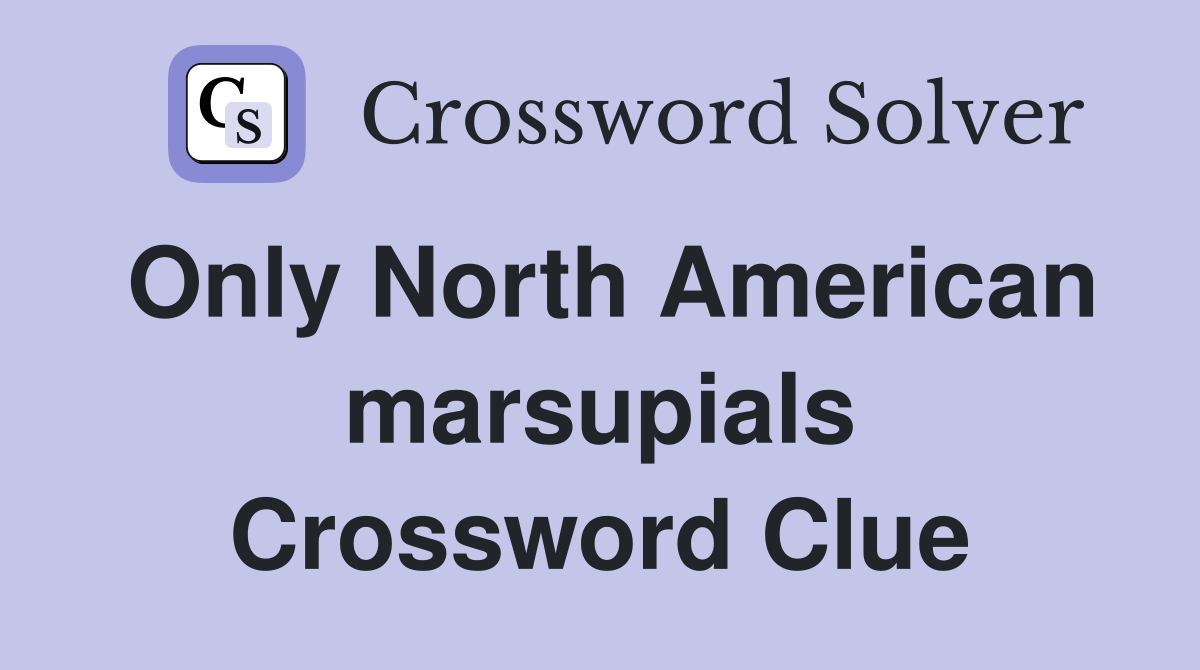 Only North American marsupials Crossword Clue