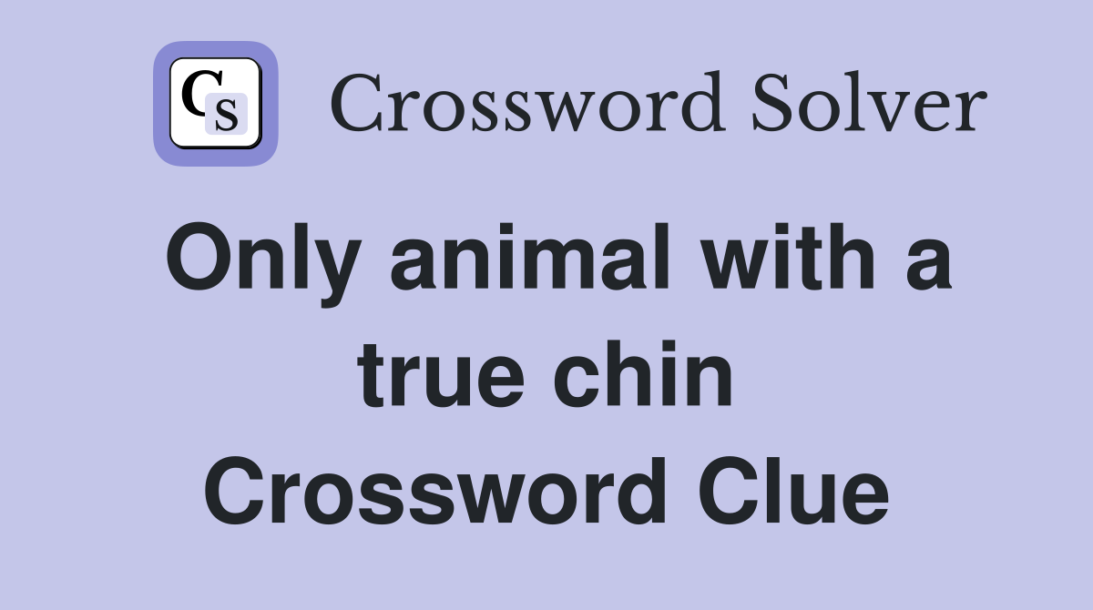 Only animal with a true chin Crossword Clue