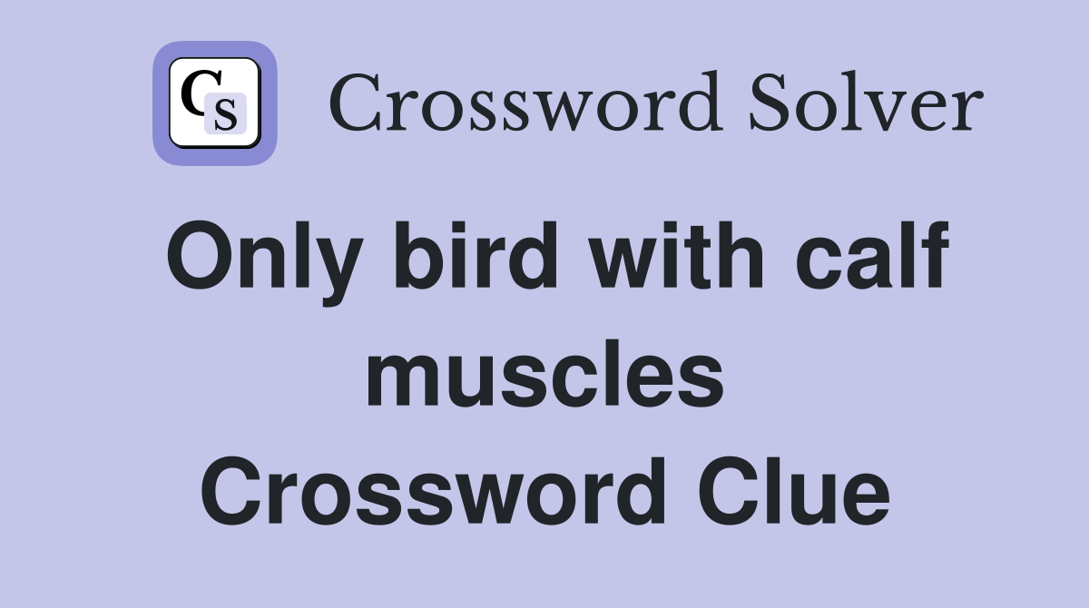 Only bird with calf muscles Crossword Clue