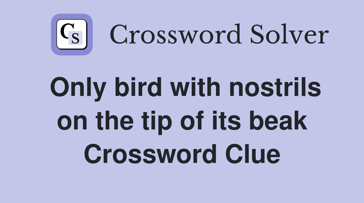 Only bird with nostrils on the tip of its beak Crossword Clue