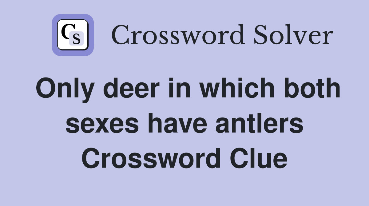 Only deer in which both sexes have antlers Crossword Clue