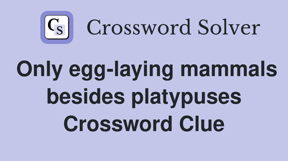 Only egg-laying mammals besides platypuses Crossword Clue