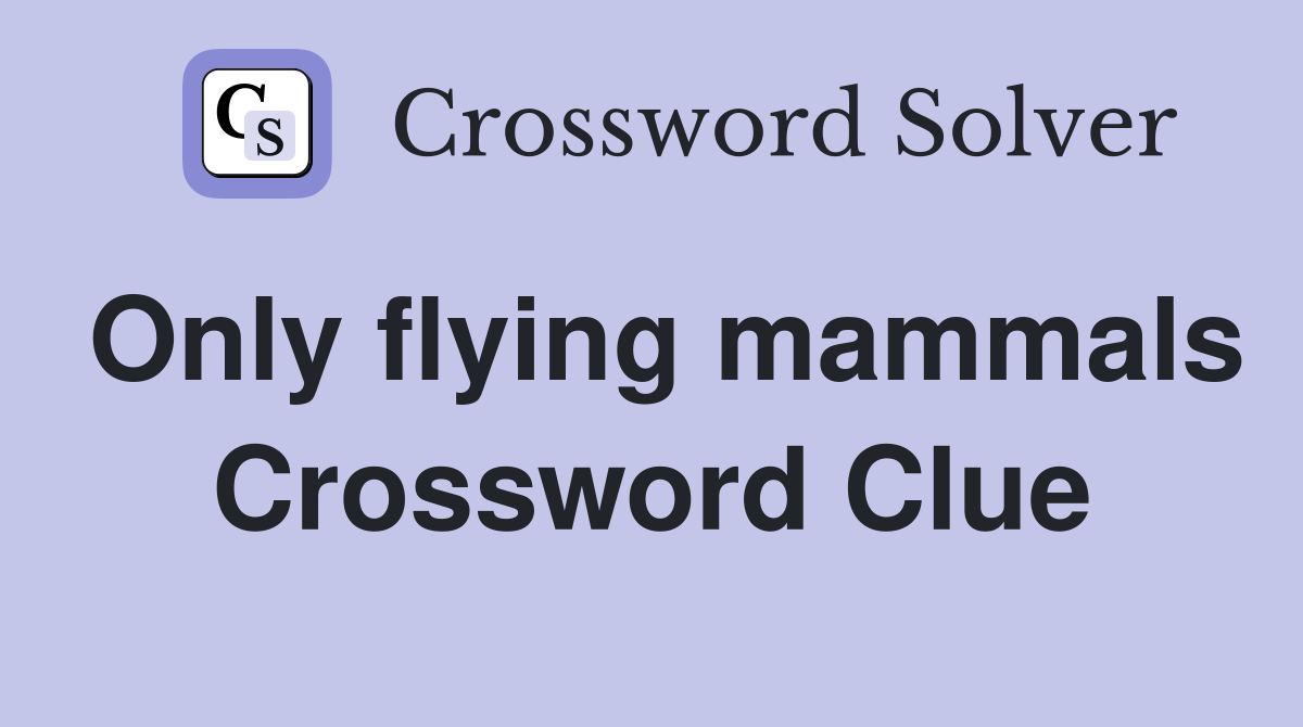 Only flying mammals Crossword Clue
