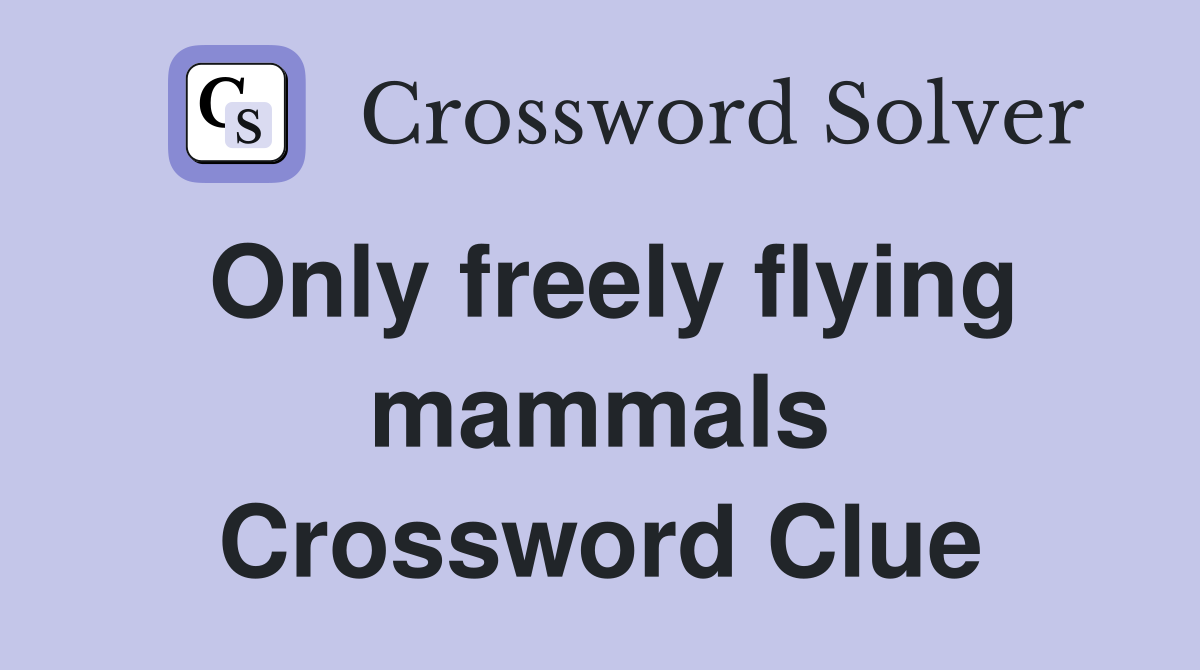 Only freely flying mammals Crossword Clue