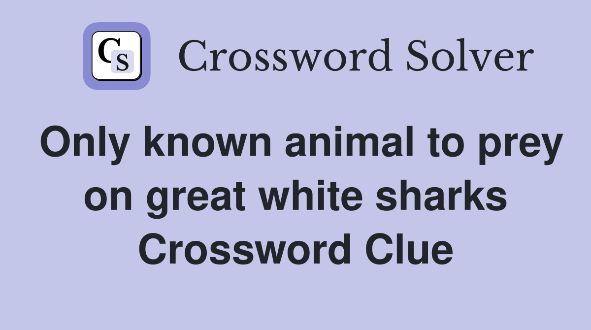 Only known animal to prey on great white sharks Crossword Clue