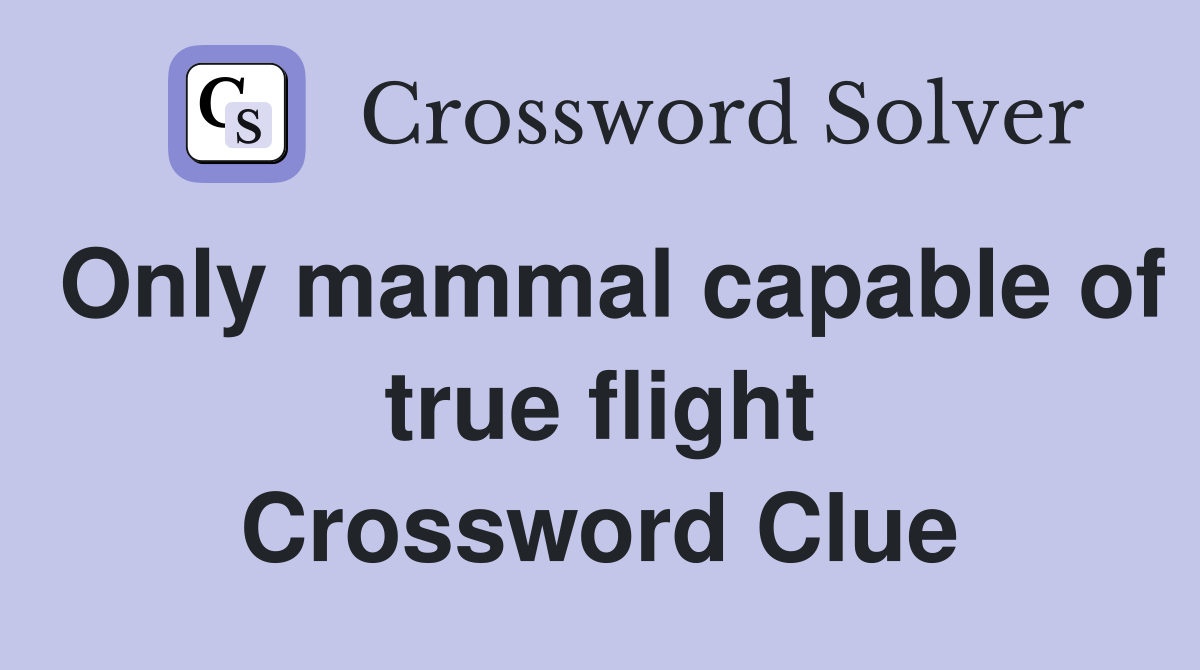 Only mammal capable of true flight Crossword Clue