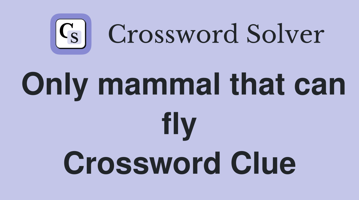Only mammal that can fly Crossword Clue
