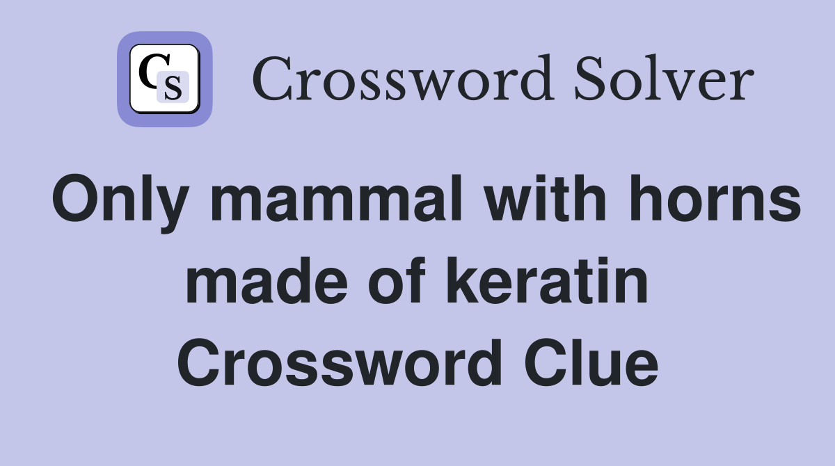 Only mammal with horns made of keratin Crossword Clue