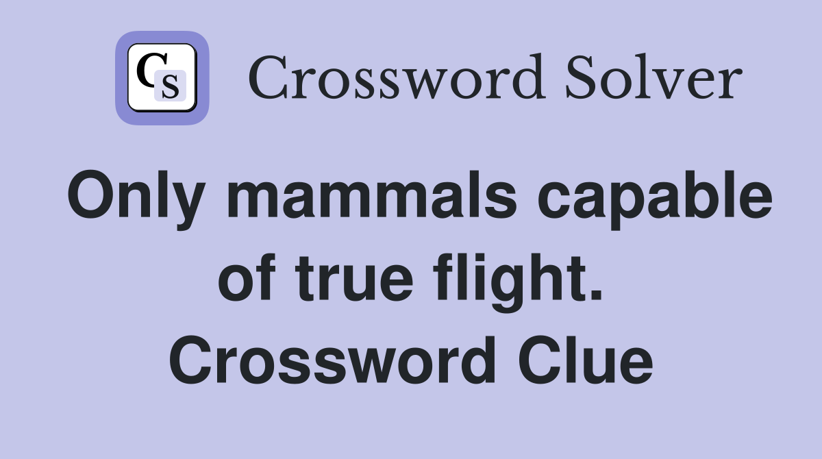 Only mammals capable of true flight. Crossword Clue
