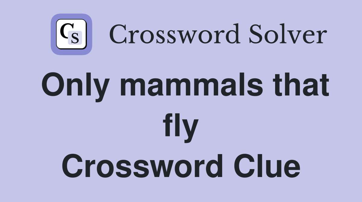 Only mammals that fly Crossword Clue