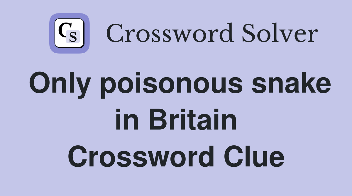 Only poisonous snake in Britain Crossword Clue