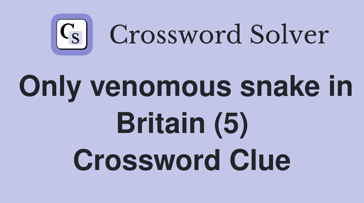 Only venomous snake in Britain (5) Crossword Clue