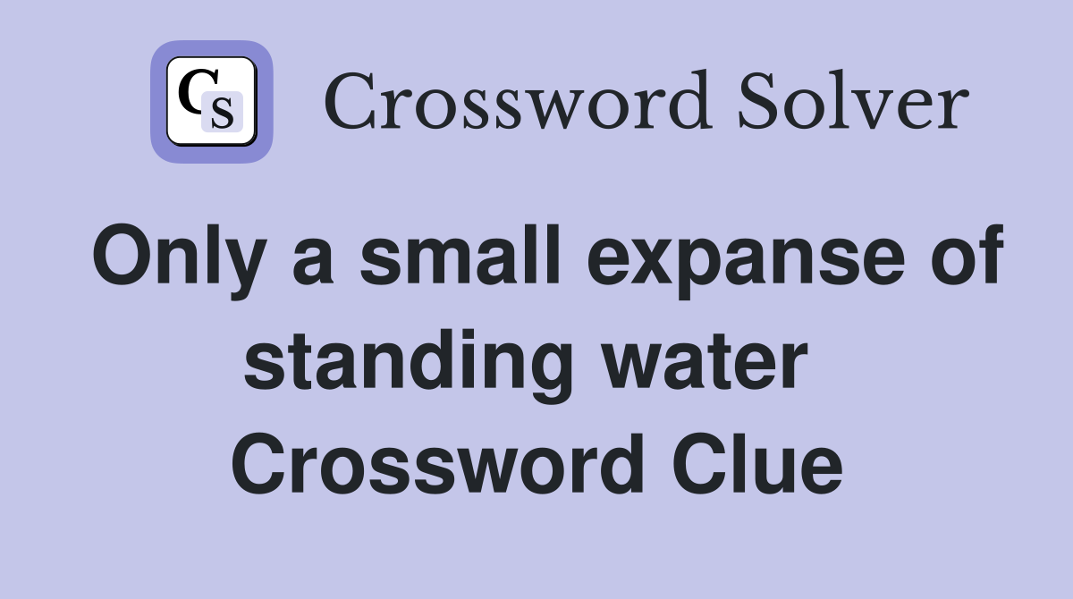 Only a small expanse of standing water  Crossword Clue