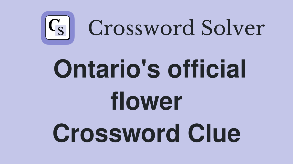Ontario's official flower Crossword Clue