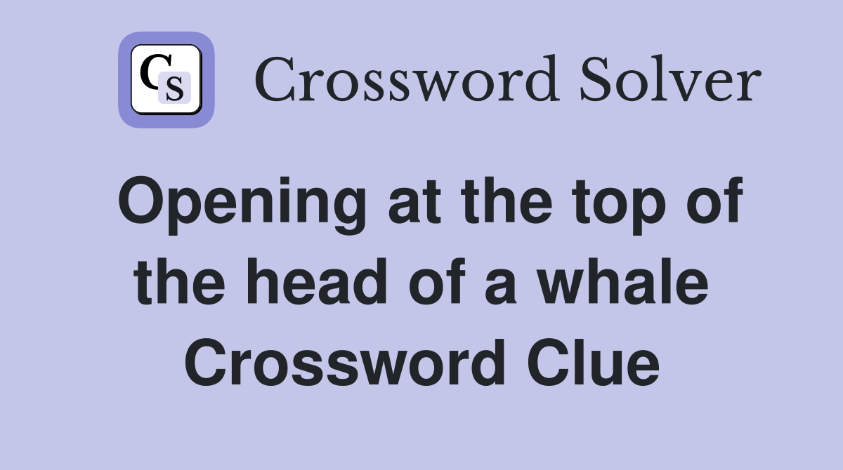 Opening at the top of the head of a whale Crossword Clue