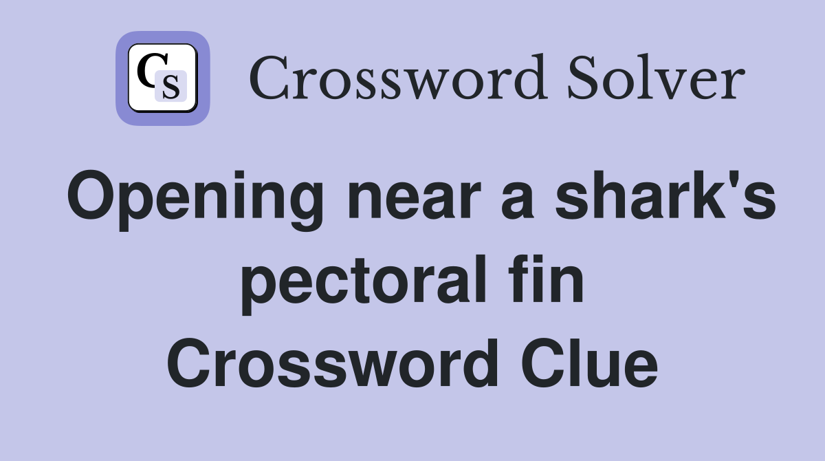 Opening near a shark's pectoral fin Crossword Clue
