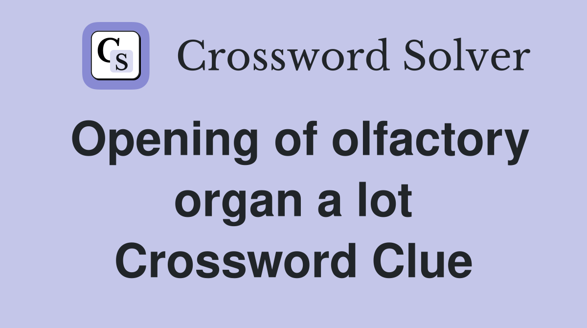 Opening of olfactory organ a lot Crossword Clue