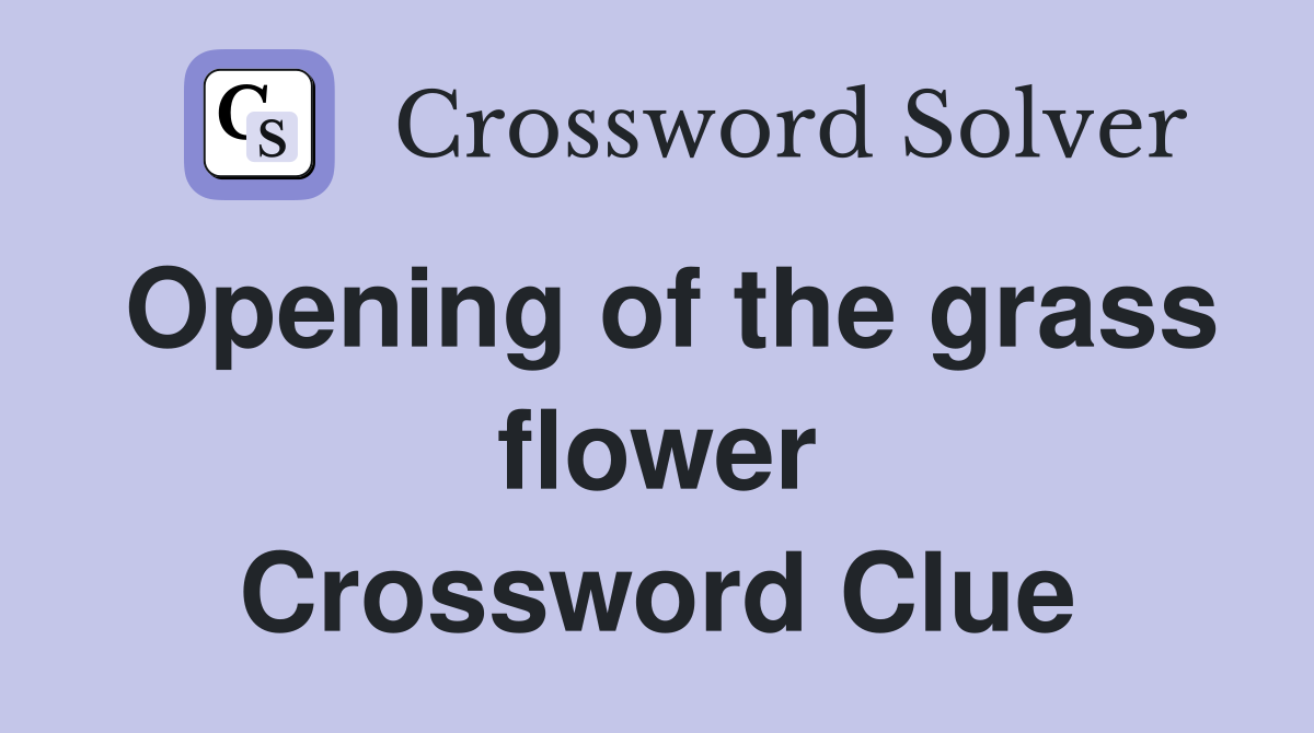 Opening of the grass flower Crossword Clue