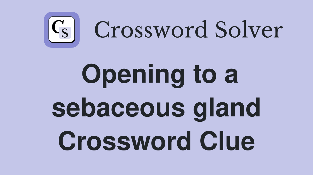 Opening to a sebaceous gland Crossword Clue