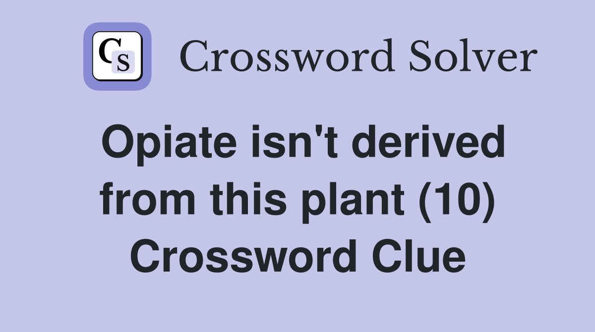 Opiate isn't derived from this plant (10) Crossword Clue