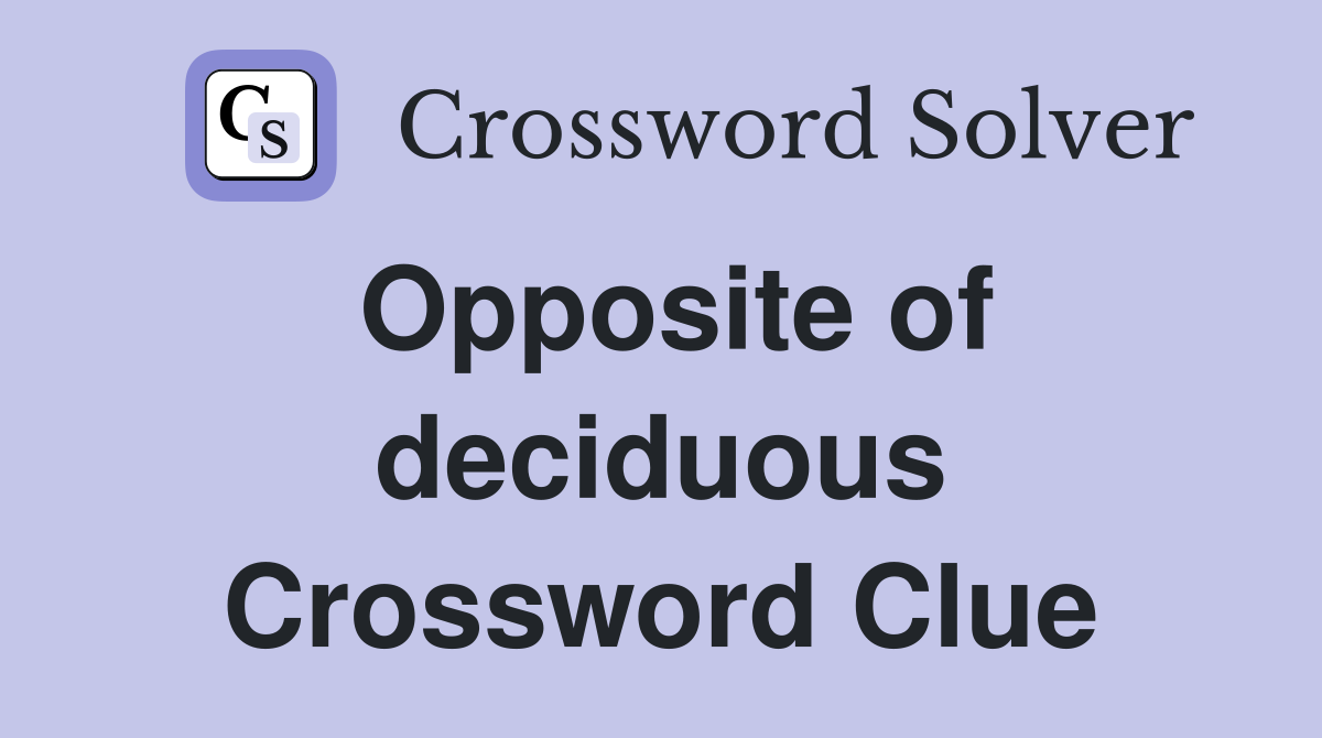 Opposite of deciduous Crossword Clue