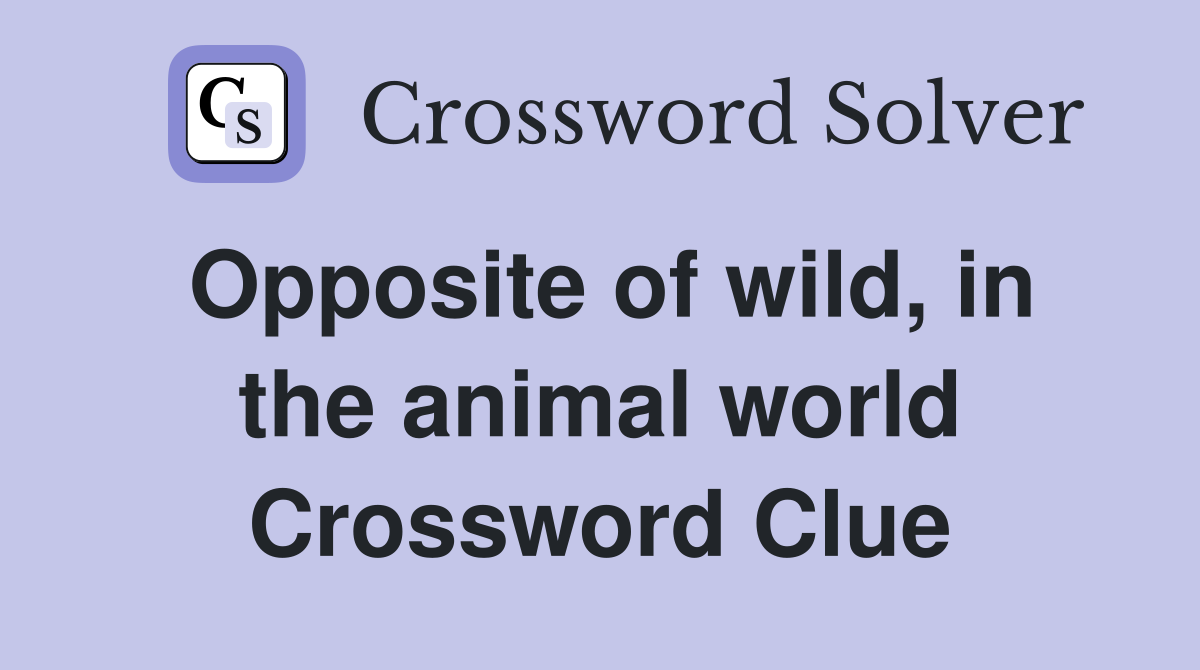 Opposite of wild, in the animal world Crossword Clue