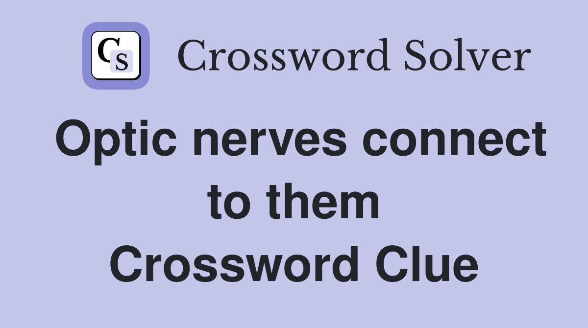 Optic nerves connect to them Crossword Clue