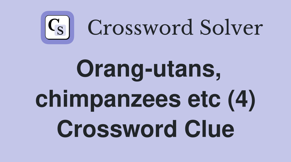 Orang-utans, chimpanzees etc (4) Crossword Clue