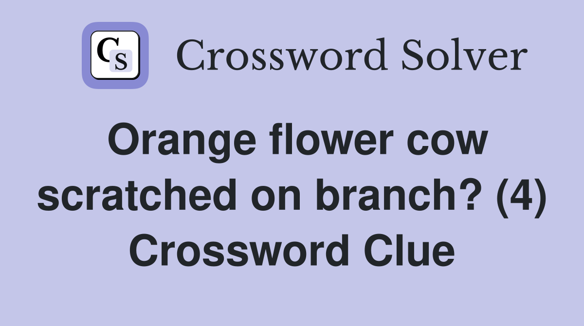 Orange flower cow scratched on branch? (4) Crossword Clue