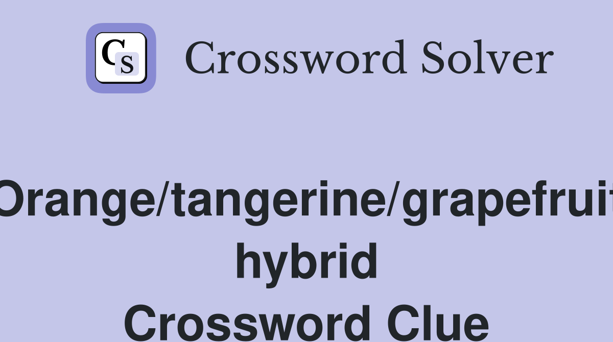 Orange/tangerine/grapefruit hybrid Crossword Clue