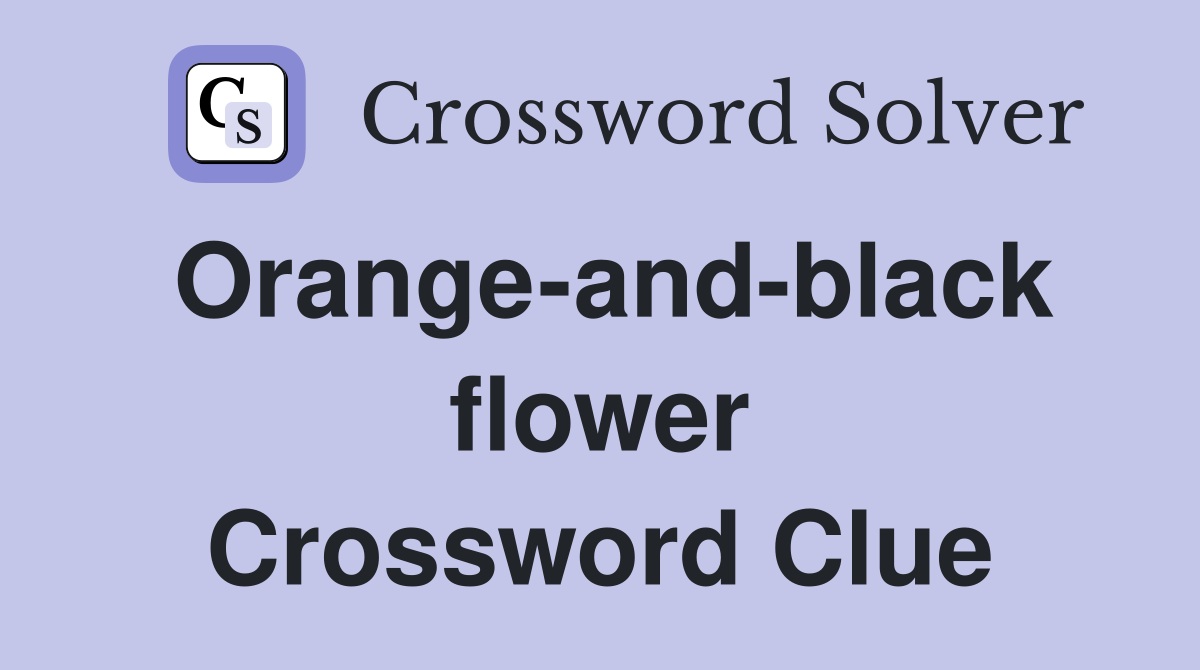 Orange-and-black flower Crossword Clue