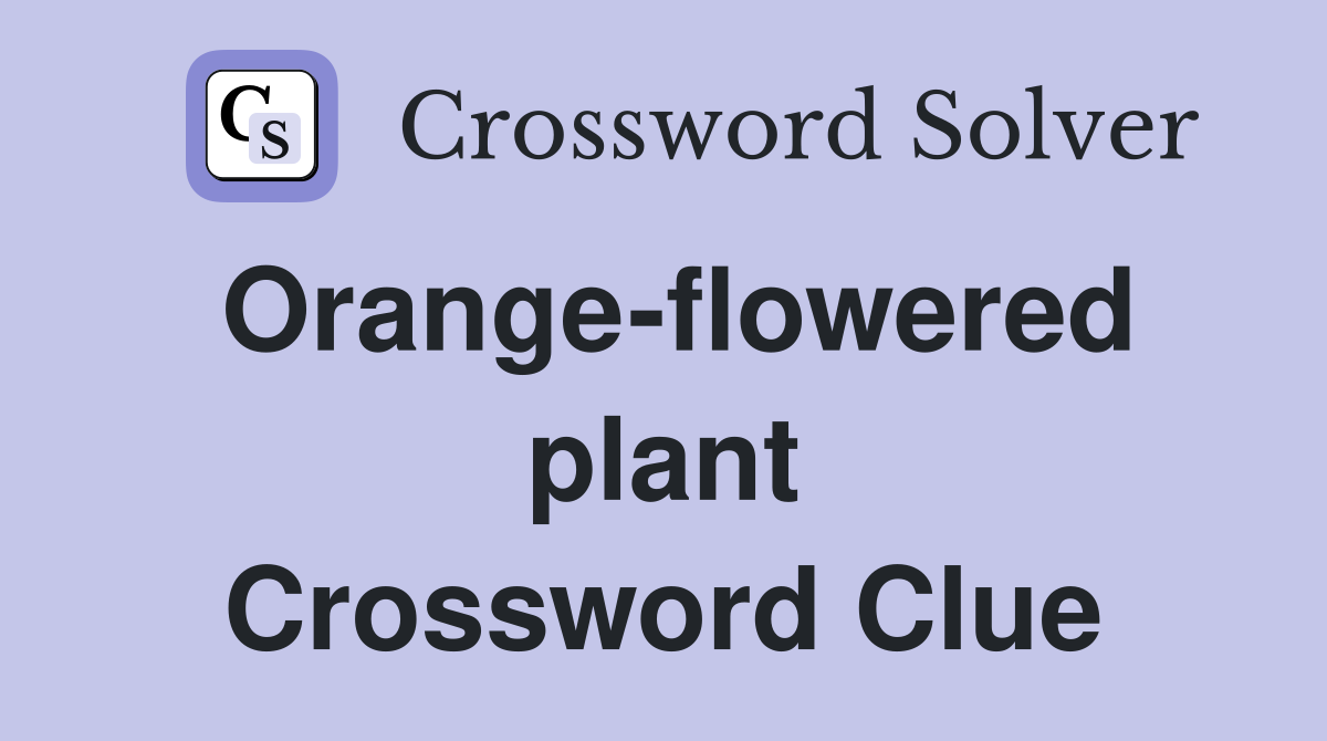 Orange-flowered plant Crossword Clue