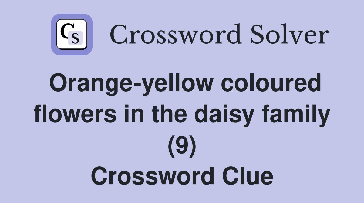 Orange-yellow coloured flowers in the daisy family (9) Crossword Clue