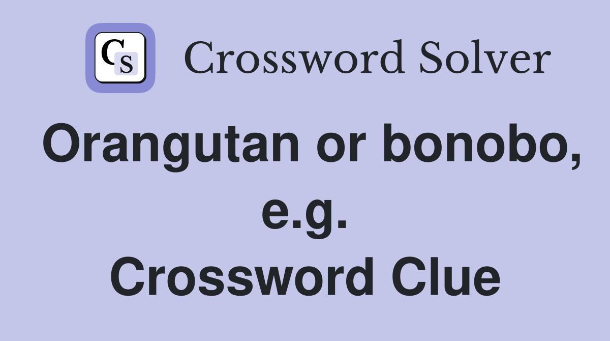 Orangutan or bonobo, e.g. Crossword Clue