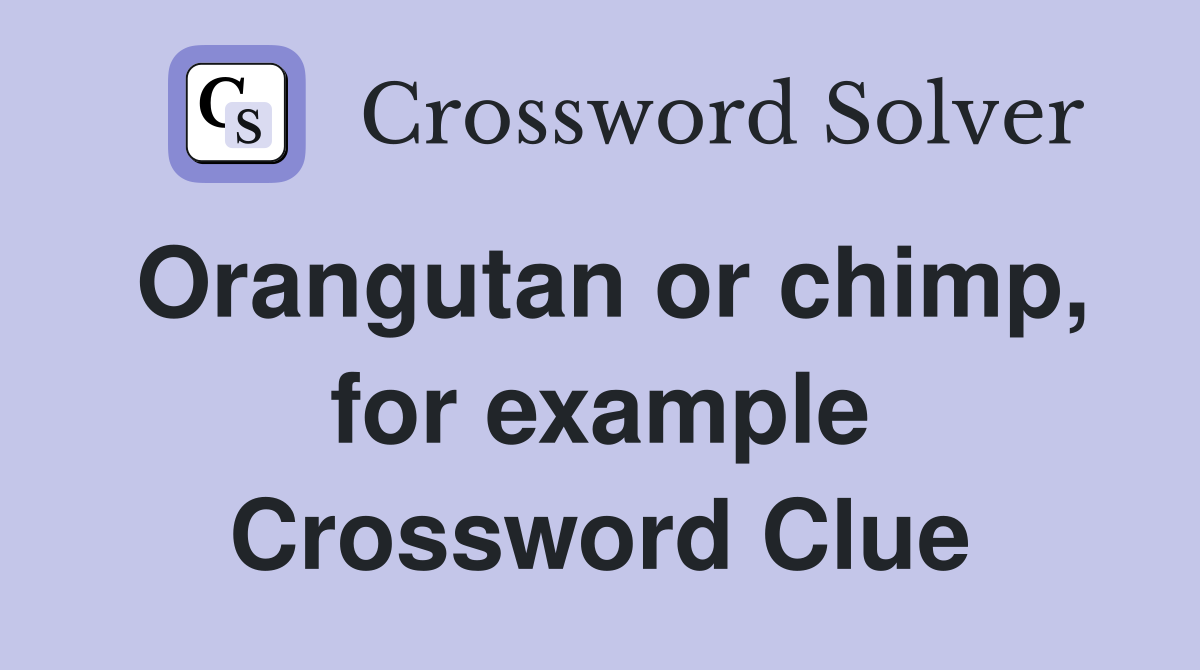 Orangutan or chimp, for example Crossword Clue