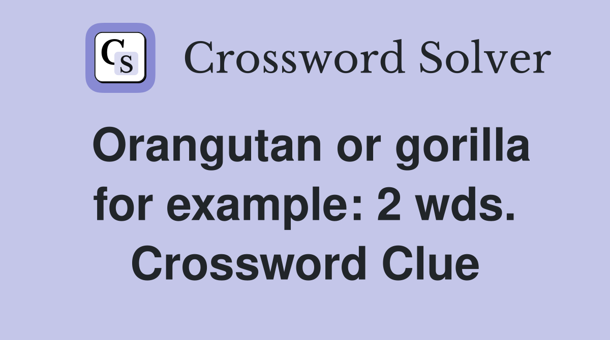 Orangutan or gorilla for example: 2 wds. Crossword Clue