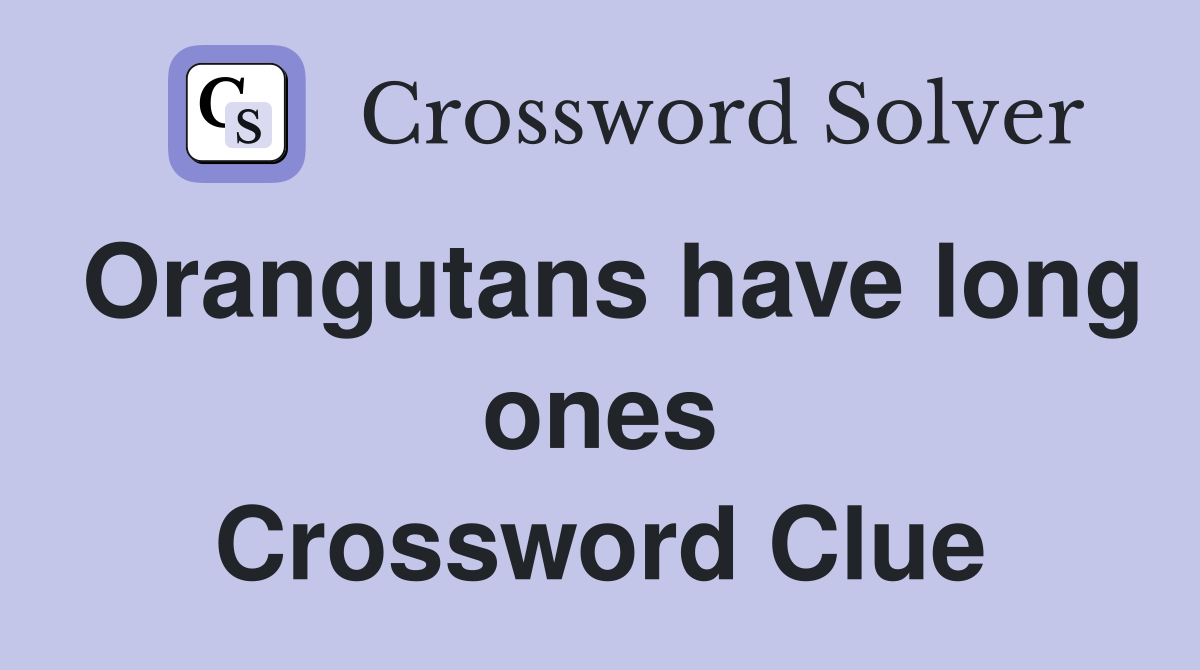 Orangutans have long ones Crossword Clue