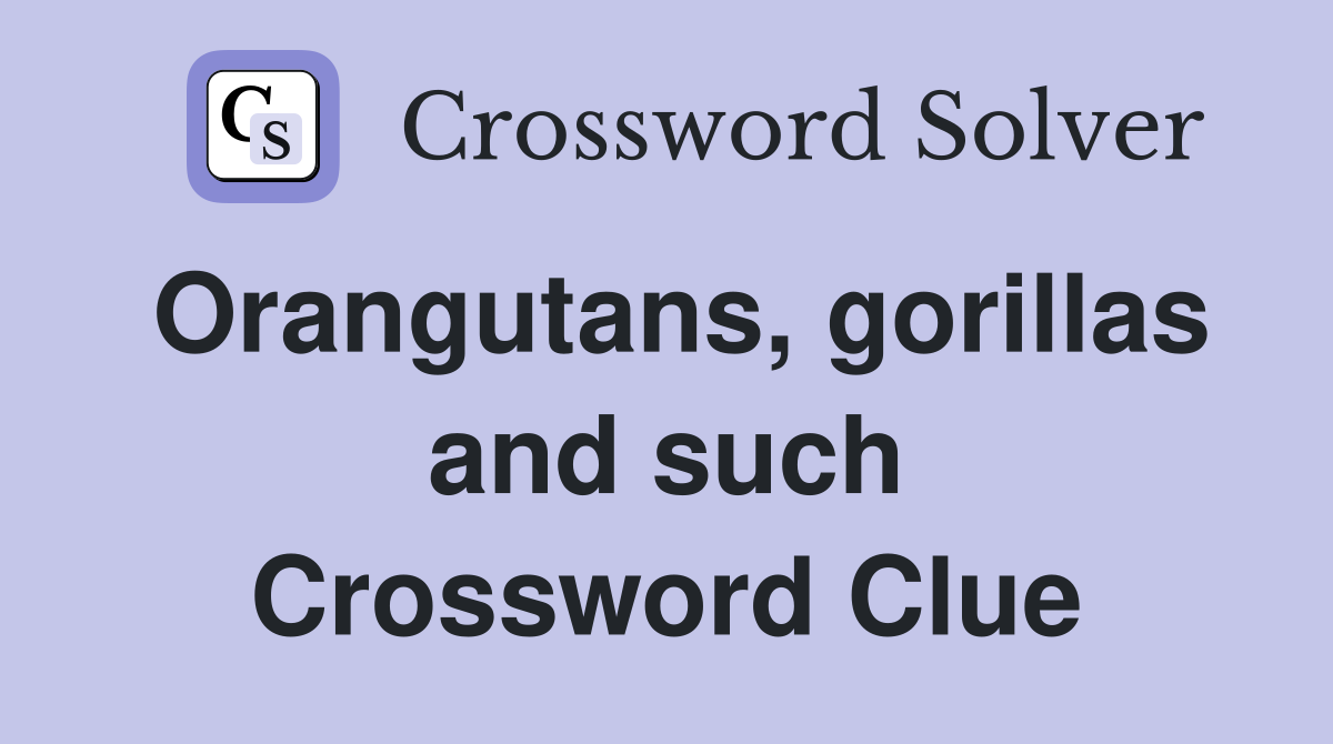 Orangutans, gorillas and such Crossword Clue