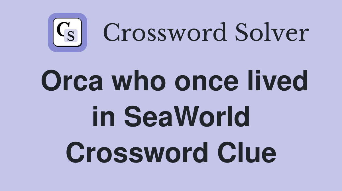 Orca who once lived in SeaWorld Crossword Clue