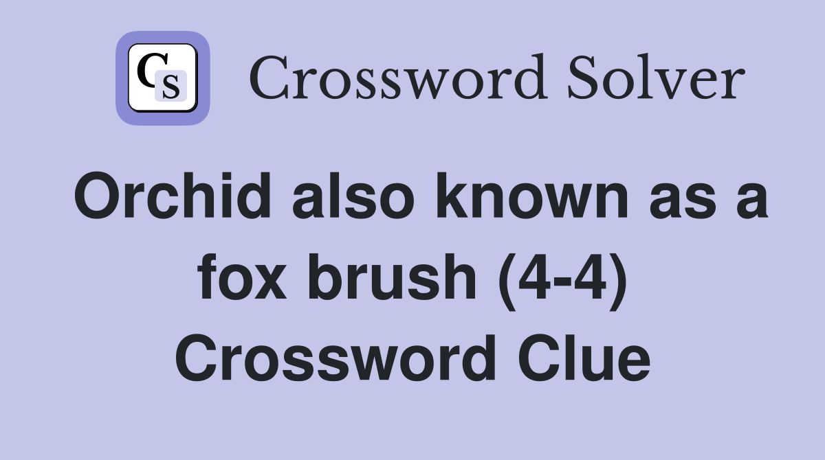 Orchid also known as a fox brush (4-4) Crossword Clue