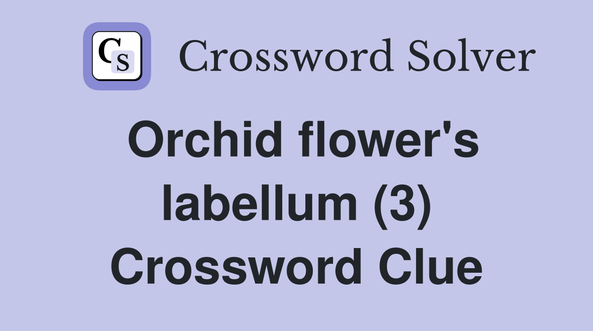 Orchid flower's labellum (3) Crossword Clue