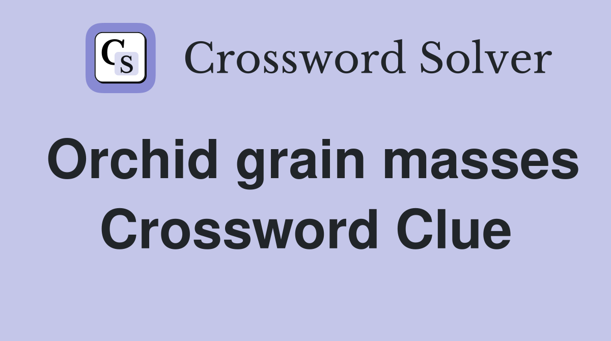 Orchid grain masses Crossword Clue