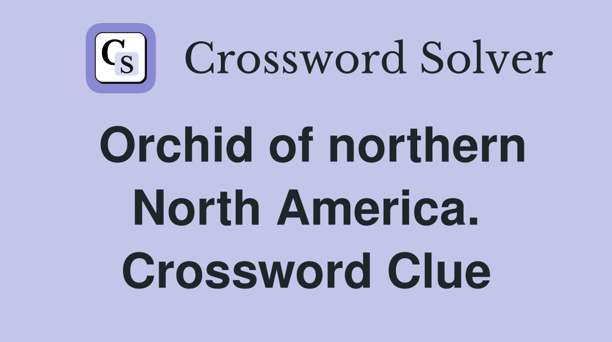 Orchid of northern North America. Crossword Clue