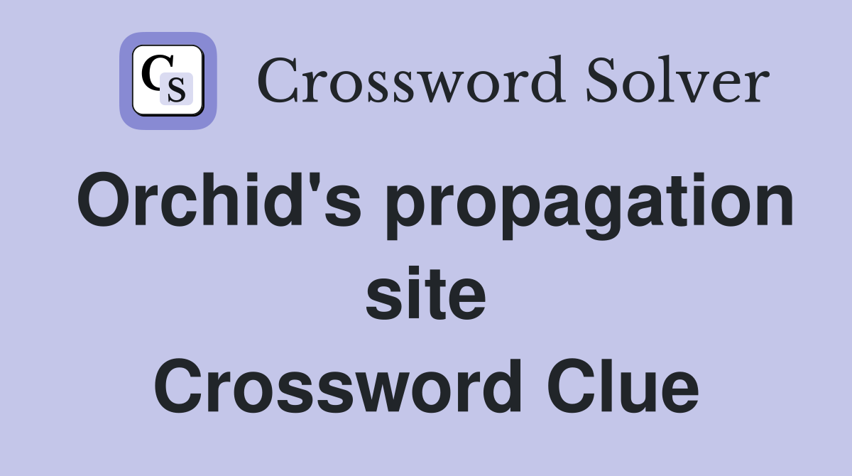 Orchid's propagation site Crossword Clue